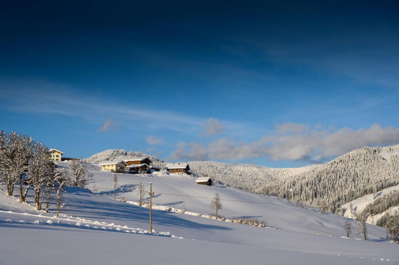 Parchenbauernhof Horner Hotel Flachau Exterior foto